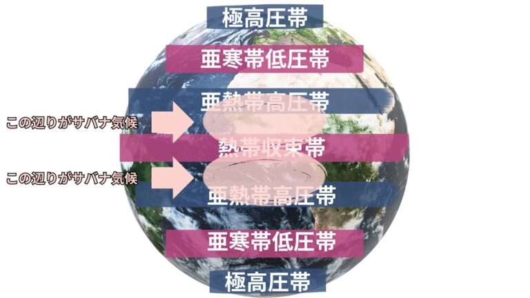 熱帯の生活 | ジョージ先生の学び場